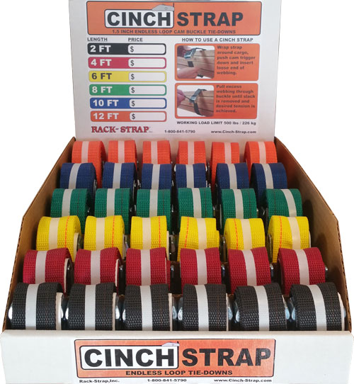 CINCH STRAP 1.5 INCH CAM BUCKLE MASTER PACK 